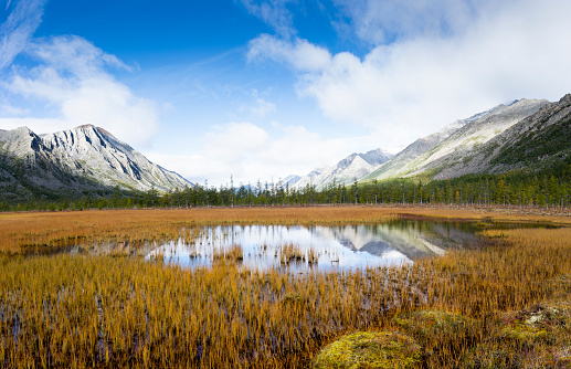 Surroundings of the mountain lake Malyk in the north of the Far East is located five hundred kilometers from the city of Magadan.