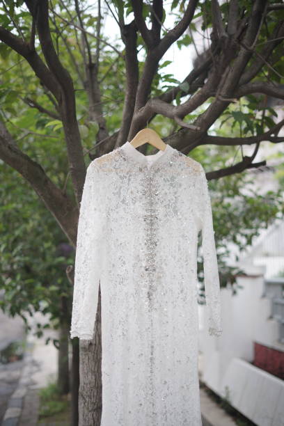 istock Beautiful White Wedding Dress Hanging in a Tree 1459520565