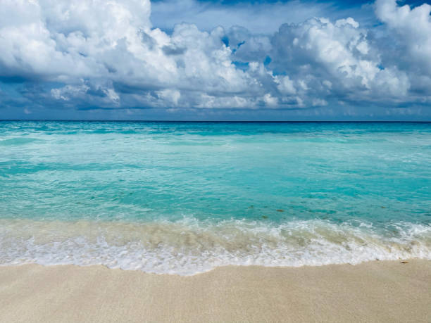istock Cancun beach summer background, Mexico 1459520649