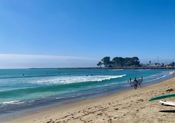 istock Doheny State Beach, Dana Point, California 1459525759