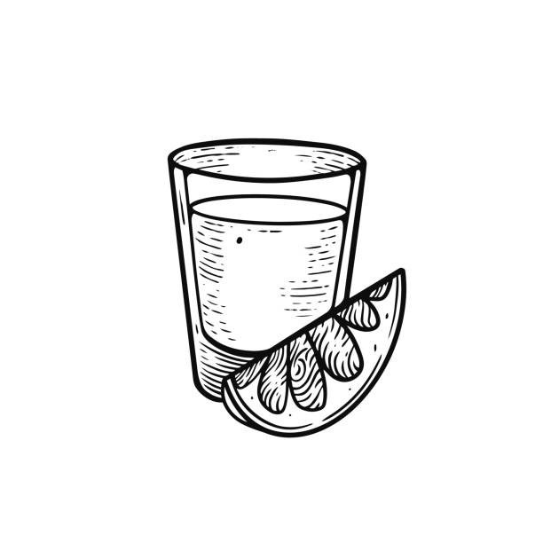 illustrazioni stock, clip art, cartoni animati e icone di tendenza di tequila disegnata a mano colore nero contorno schizzo stile illustrazione artistica vettoriale. - silhouette vodka bottle glass
