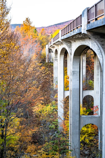 istock Arched concrete footbridge over a gorge with a yellowed maple grove with colorful crowns and already fallen leaves on the mountains of New Hampshire 1459548430
