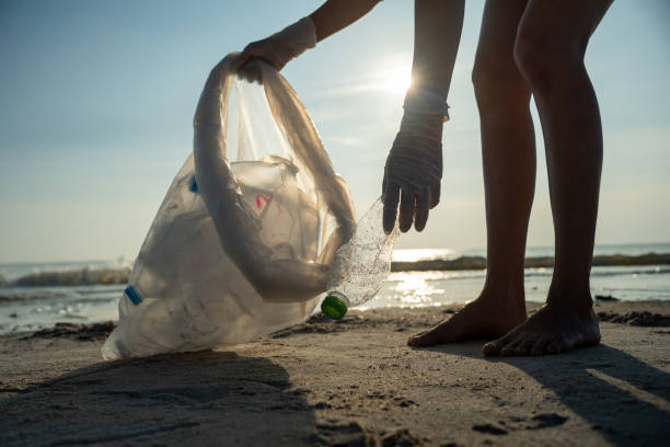 istock Save water. Volunteer pick up trash garbage at the beach and plastic bottles are difficult decompose prevent harm aquatic life. Earth, Environment, Greening planet, reduce global warming, Save world 1459548731