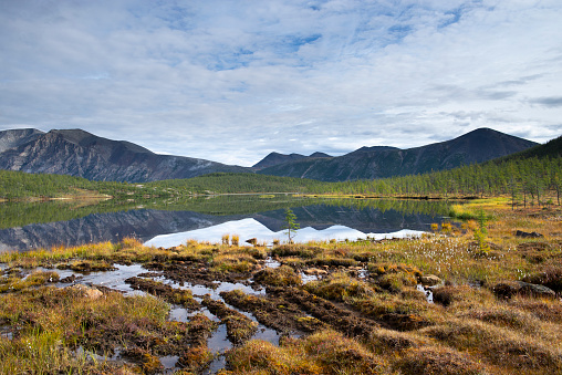 Beautiful scenery with marshland, pine trees and mountain range  in Yukon in late summer.