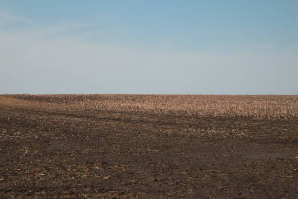 istock Field before corn or soy planting against a blue sky 1459557740