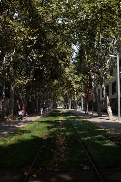 istock Vertical shot of a grass metro track outdoors under trees 1459557783
