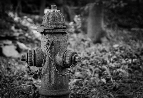 A grayscale shot of a street hydrant with a blurred background