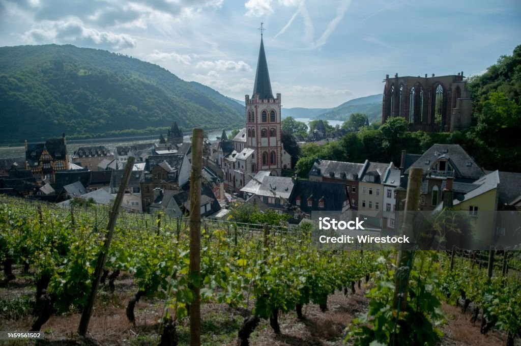 Scenic cityscape of Bacharach town in the background of the vineyard in Germany The scenic cityscape of Bacharach town in the background of the vineyard in Germany Agricultural Field Stock Photo