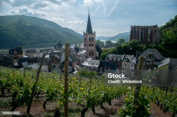 Scenic Cityscape Of Bacharach Town In The Background Of The Vineyard In Germany Stock Photo - Download Image Now