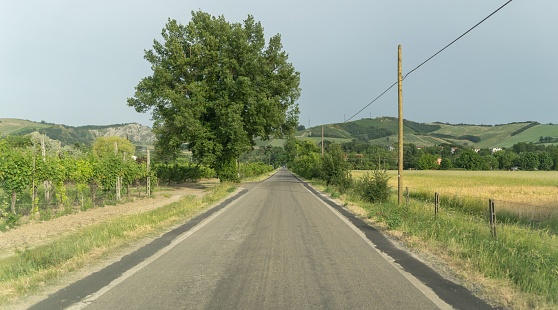 A scenic view of an empty asphalt road in a green field in the countryside in Codrignano,Bologna,Italy