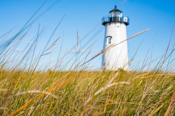 istock Grass in a field with a big white blurry lighthouse there 1459562009