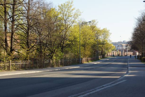 istock Road surrounded by trees during Autumn 1459562328