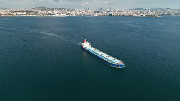 istock Aerial view of cargo ship in transit. 1459564837