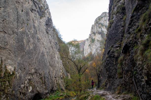 istock Landscape from the Turda gorges - Romania 1459565317