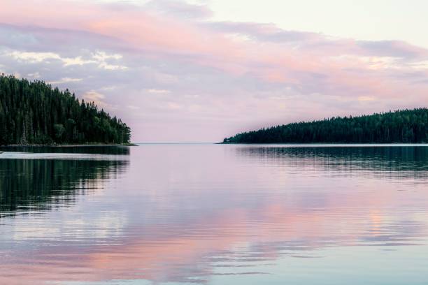 istock Beautiful view of a reflective lake with a forest during pink sunset 1459565580