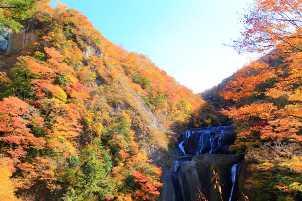 istock Fukuroda Falls with beautiful autumn leaves 1459565855