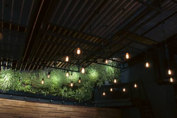istock Decorative light bulbs hanging from the ceiling indoors 1459567776