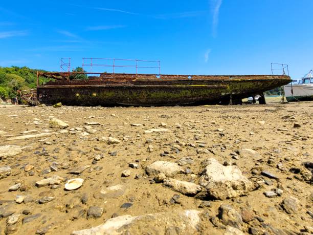 istock Rusty ship wreck on muddy rocky beach under blue sky 1459567864