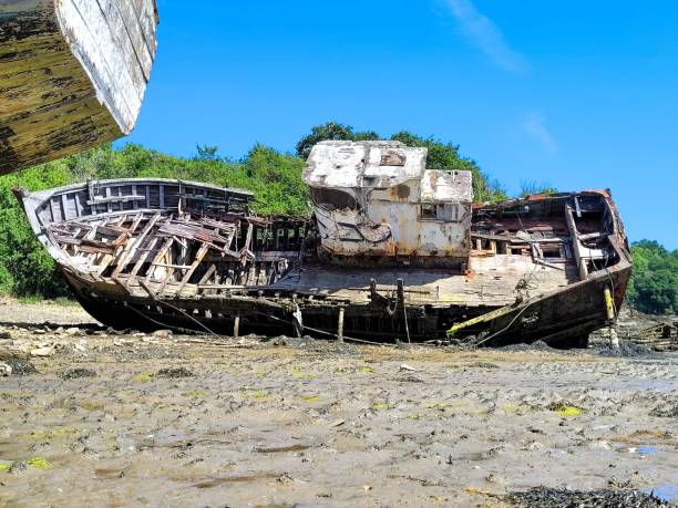 istock Rusty ship wreck on muddy rocky beach under blue sky 1459567867