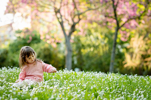 Beautiful happy little baby girl sitting on a green meadow in a blossom park with flowers. Spring walk outside the city in the countryside. Portrait of beautiful child in nature, cherry blossoms