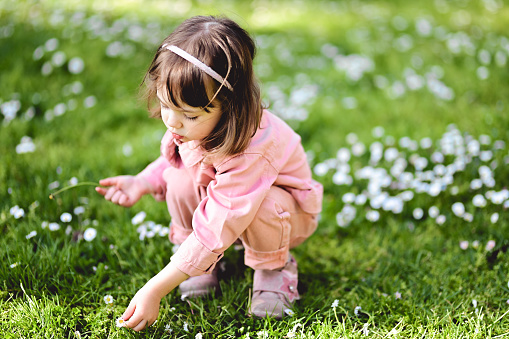 Cute beautiful adorable caucasian girl playing in a garden with flowers. Toddler collect spring flowers in a park.