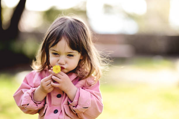 une fille heureuse aux yeux bleus dans une veste rose sent le pissenlit. - baby toddler child flower photos et images de collection