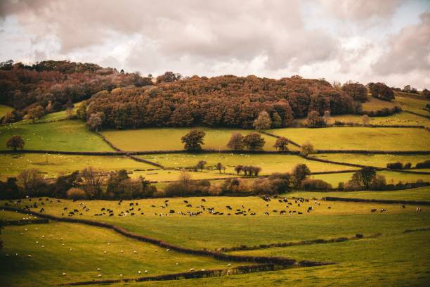 Cloudscape over scenic autumn countryside, South Harting, UK