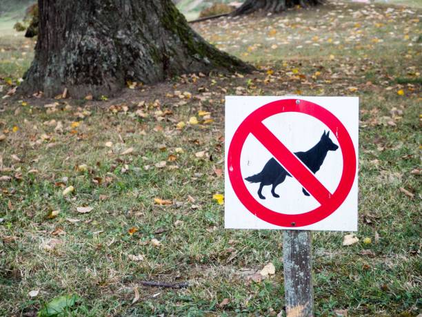 istock sign for dogs in park 1459572516