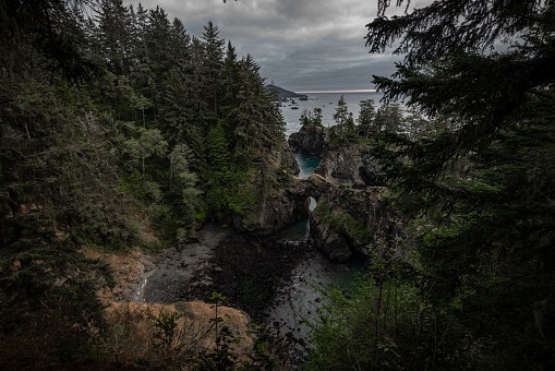 The dark woods and cliffs on a cloudy day. Samuel H. Boardman State Scenic Corridor, Oregon, USA.