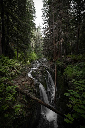 A vertical shot of Sol Duc Falls. Olympic National Park, state of Washington, USA.