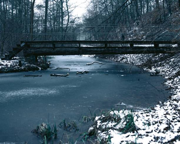 istock Bridge over a frozen river in a forest 1459574259