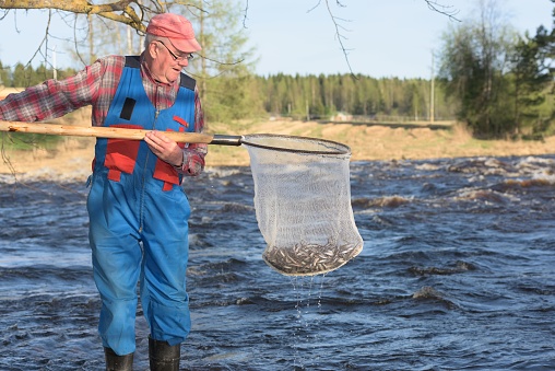 A view of an adult Caucasian man fishing for smelt in Viannankoski, Finland