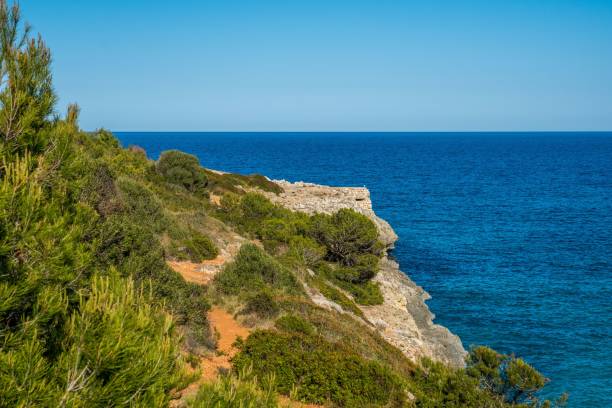 istock Blue sky over the ocean on a sunny day in summer 1459574844