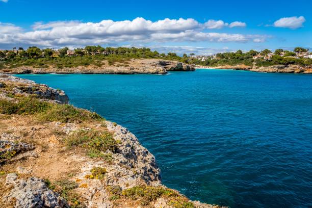 istock Cloudy blue sky over the ocean on a sunny day in summer 1459574859