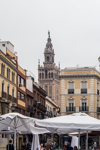 Seville, Spain – November 01, 2022: A vertical shot of a street in the city of Seville and the bell tower of the Giralda behind the buildings in Spain