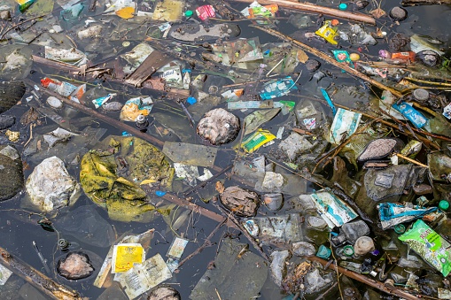 Chennai, India – November 03, 2022: Photograph of polluted River full of rubbish showing environment we live in india.