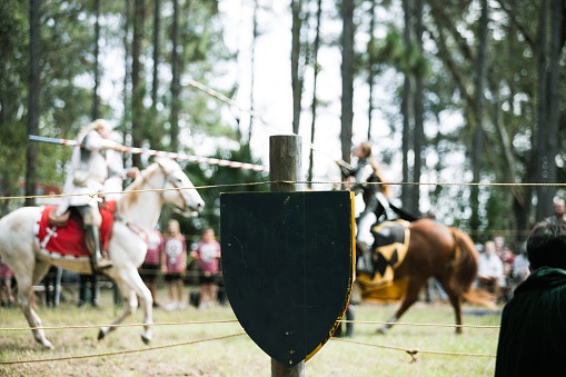 A closeup shot of a fence at the medieval jousting event