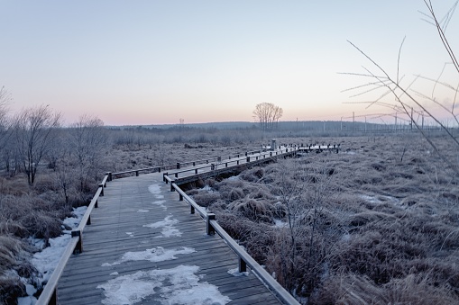 The frozen wooden footpath in the park with winter sunrise view