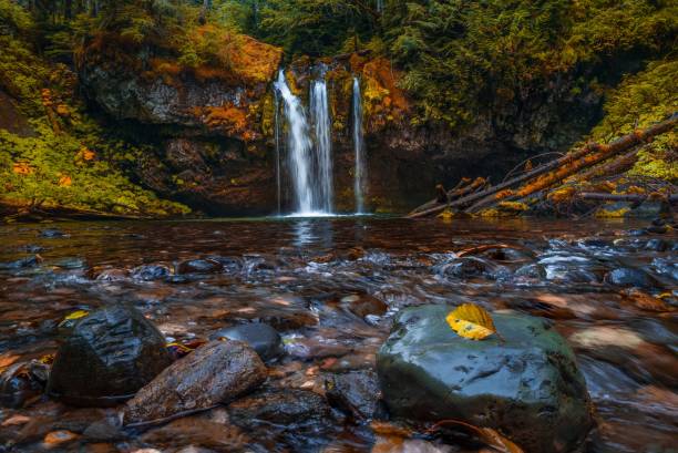 istock Waterfall in Oregon in autumn 1459579367