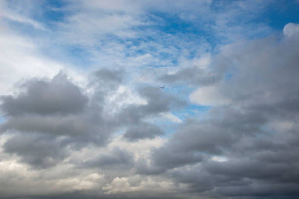 bewölkter himmel mit seltenen wolken - storm cloud stratosphere overcast four seasons stock-fotos und bilder