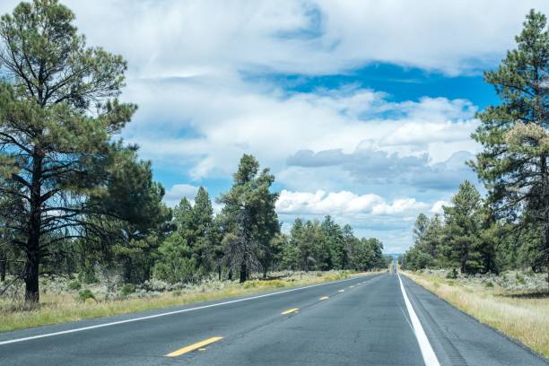 istock Straight asphalt road trees on both sides with a cloudy sky on the horizon 1459580877