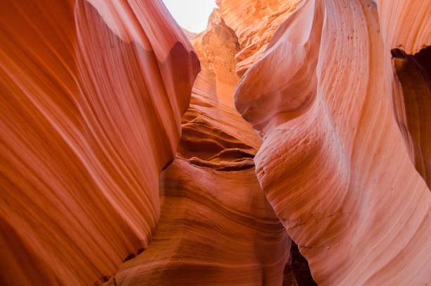istock Closeup shot of a red cave illuminated by bright sunlight 1459580915