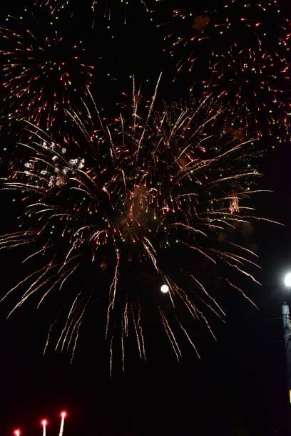 istock Vertical shot of fireworks against a black sky background. 1459581699