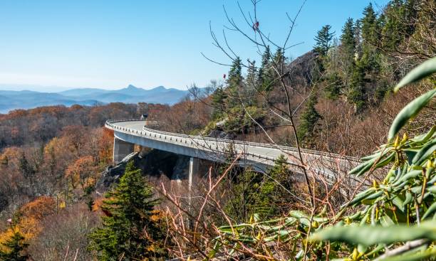 istock Blue Ridge Mountains in  autumn in North Carolina 1459581886