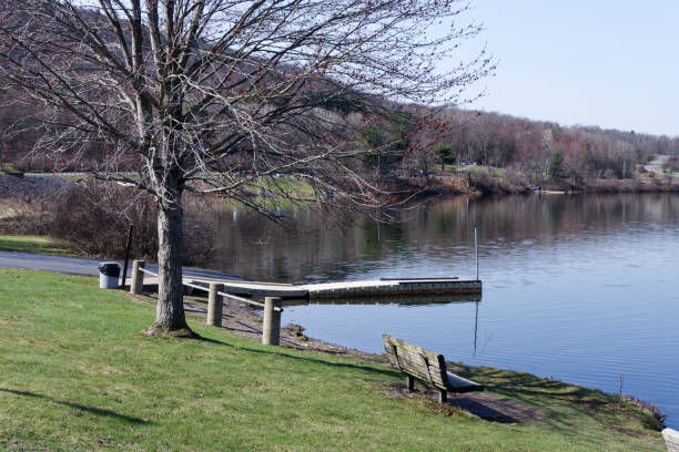 istock Old empty wooden bench by a lake surrounded by dry leafless trees 1459582486
