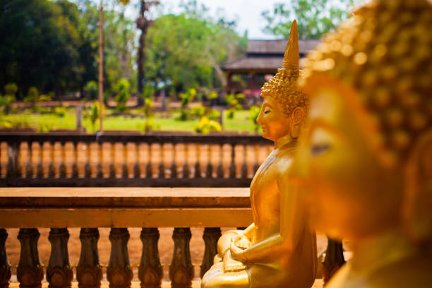 istock Budda Statue in a Buddhist Temple at Bolevan Plateau in Laos 1459583570