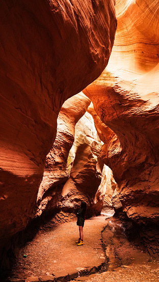 A woman standing while looking at Buckskin Gulch, Paria Canyon in Arizona, USA