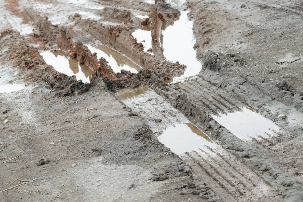 istock Tire prints in soil after rain. 1459584656