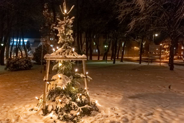 istock a lighted fir tree in a city park in winter 1459588247