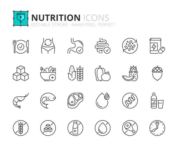 Simple set of outline icons about nutrition, healthy food. Line icons about nutrition. Contains such icons as healthy food, fat, protein, vegetables, fruit, carbohydrates, and sugar. Editable stroke Vector 64x64 pixel perfect fiber stock illustrations